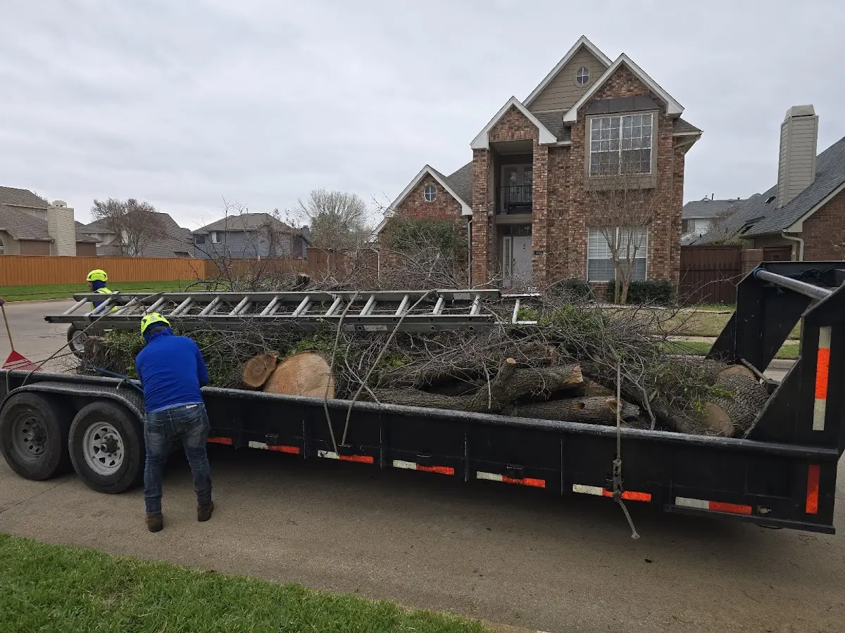 Expert Tree Fertilization with proper safety equipment in Larkspur
